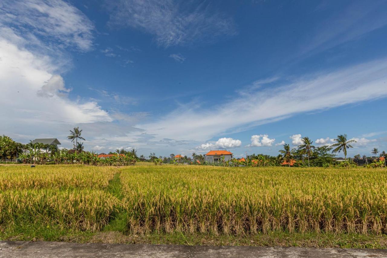 D'Jineng Rice Terrace Canggu Dış mekan fotoğraf